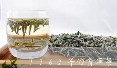 1962年的普洱茶/2023091496157