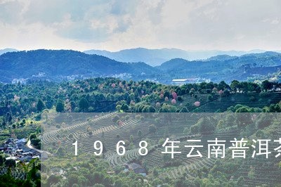 1968年云南普洱茶/2023062838261