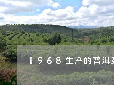 1968生产的普洱茶/2023092949604