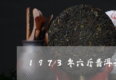 1973年六斤普洱茶/2023061474058