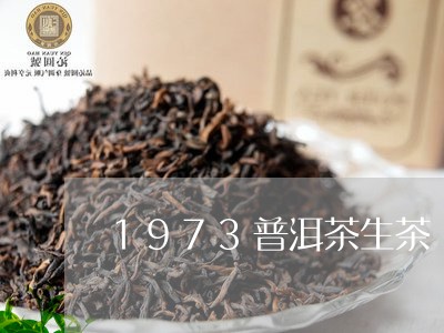 1973普洱茶生茶/2023091591703