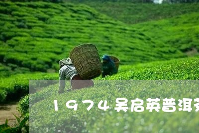 1974吴启英普洱茶/2023080348360