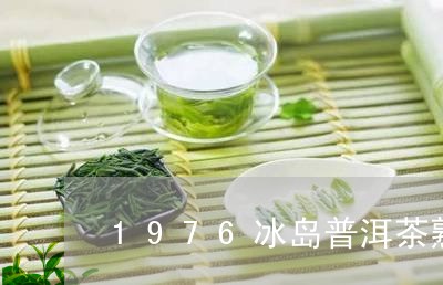 1976冰岛普洱茶熟茶/2023120720591