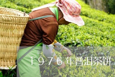 1976年普洱茶饼/2023091402827