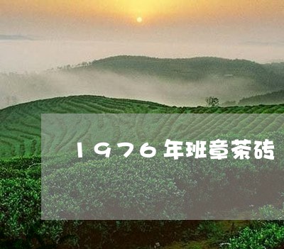 1976年班章茶砖/2023042527481