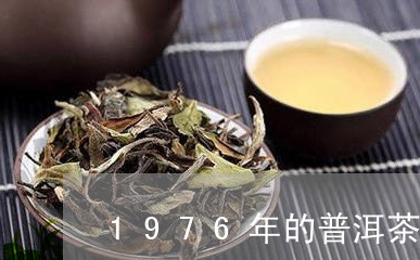 1976年的普洱茶料/2023080207461