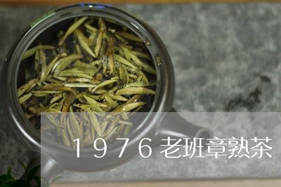 1976老班章熟茶/2023042825506