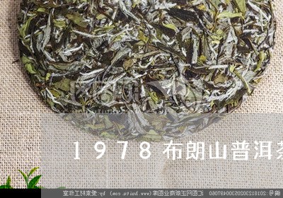 1978布朗山普洱茶/2023112703042