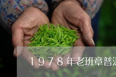 1978年老班章普洱茶/2023120732716