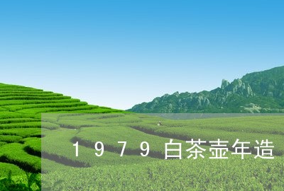 1979白茶壶年造/2023121567605