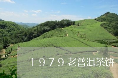 1979老普洱茶饼/2023091420514