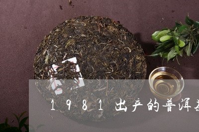 1981出产的普洱茶/2023061700635