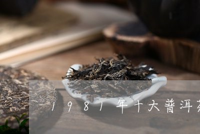 1981年十大普洱茶/2023072403726