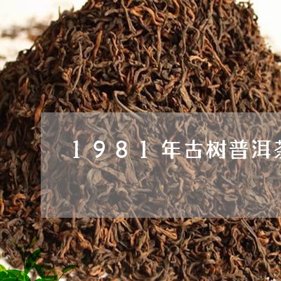 1981年古树普洱茶/2023120668473