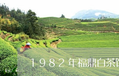 1982年福鼎白茶饼值多少钱/2023111422927