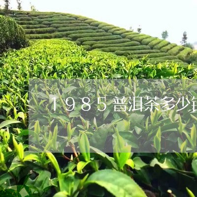 1985普洱茶多少钱/2023100759695