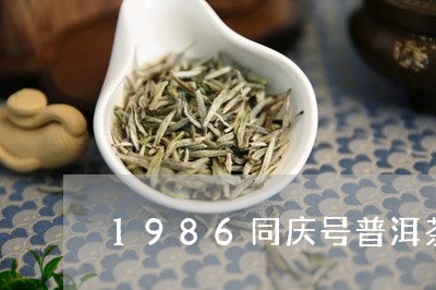 1986同庆号普洱茶/2023110581507