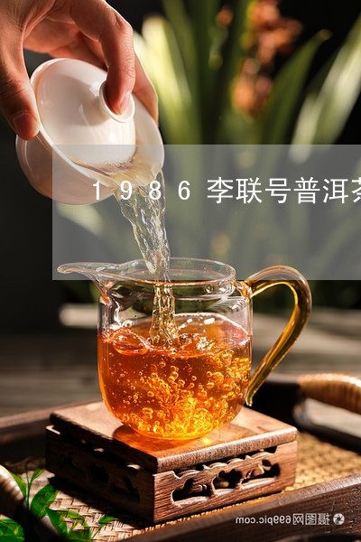 1986李联号普洱茶介绍/2023082558260