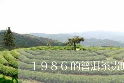 1986的普洱茶贵吗/2023062526946