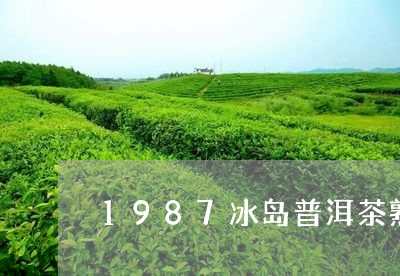 1987冰岛普洱茶熟茶/2023082749504