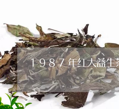 1987年红大益生茶/2023061077259