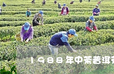 1988年中茶普洱茶/2023080204147