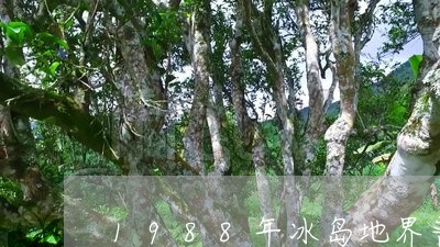 1988年冰岛地界普洱茶熟茶/2023053005938