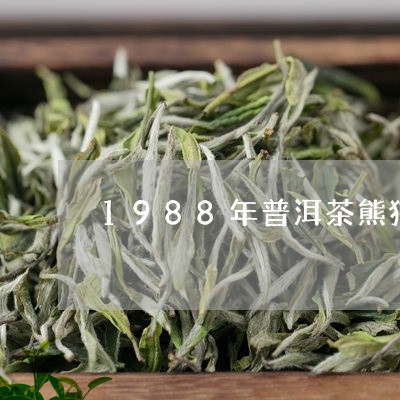 1988年普洱茶熊猫杯奖/2023110475169