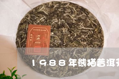 1988年熊猫普洱茶/2023062849571