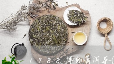 1988年的普洱茶值多少钱/2023052911058