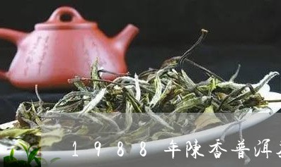 1988年陈香普洱茶/2023080182734