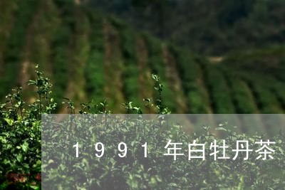 1991年白牡丹茶/2023120511613