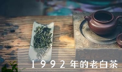 1992年的老白茶/2023071385258