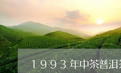 1993年中茶普洱茶/2023100894137