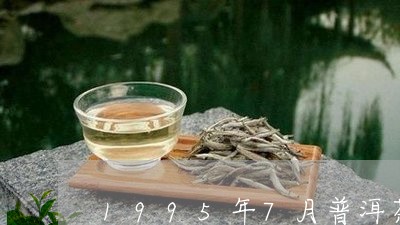 1995年7月普洱茶/2023062785461