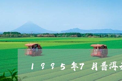 1995年7月普洱茶/2023080391472