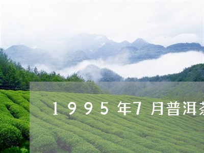 1995年7月普洱茶/2023100843694