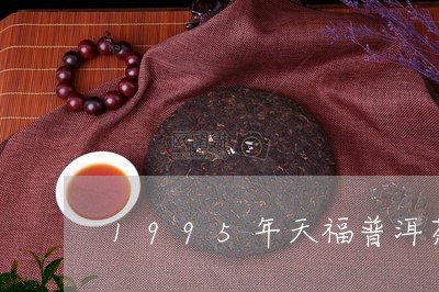 1995年天福普洱茶/2023080257460