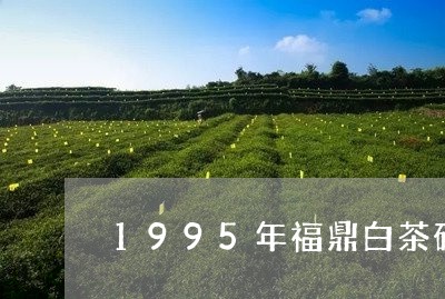 1995年福鼎白茶砖/2023092054705