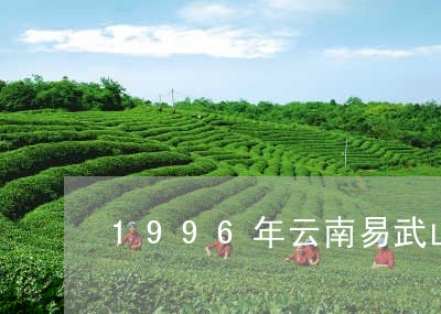 1996年云南易武山春尖价格/2023053153168