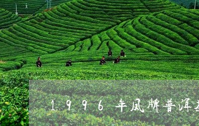 1996年凤牌普洱茶/2023100708481