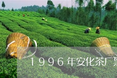 1996年安化茶厂黑砖茶/2023051115948