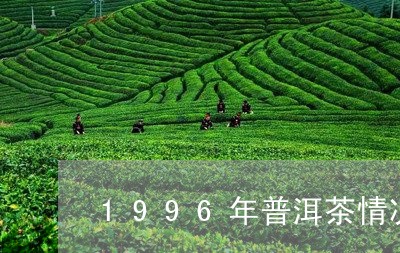 1996年普洱茶情况/2023062801714