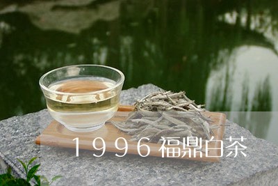 1996福鼎白茶/2023112611593