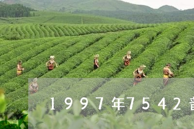 1997年7542普洱茶价格/2023053081414