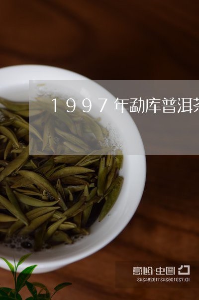 1997年勐库普洱茶/2023080175815