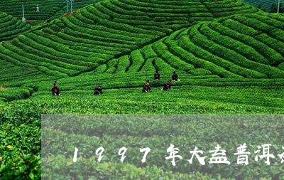 1997年大益普洱茶/2023063055148