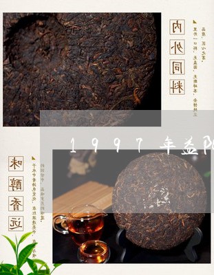 1997年益阳茶厂合作牌茯砖/2023053168460