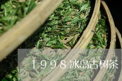 1998冰岛古树茶/2023042628481