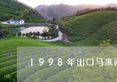 1998年出口马来西亚寿眉茶/2023111462747